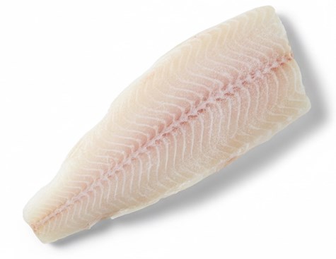 R. Morszczuk filet b/s 200g+ 10kg/SHP