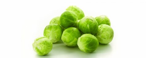 MR.  Brukselka 2,5kg /4