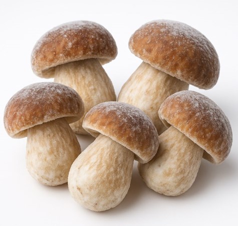 MR.  GRZYBY Borowik cały mrożony 2,5kg/4