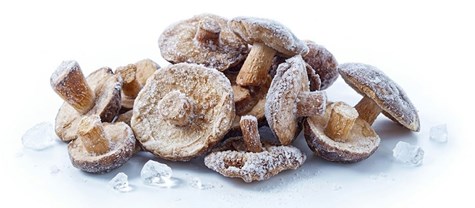 MR.  GRZYBY Podgrzybek cały mrożony 2,5kg/4