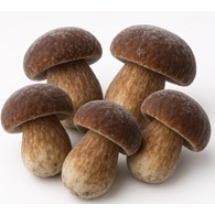 MR.  GRZYBY Podgrzybek cały mrożony 2,5kg/4