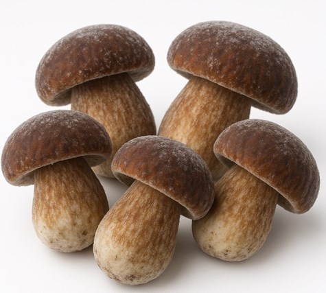 MR.  GRZYBY Podgrzybek cały mrożony 2,5kg/4