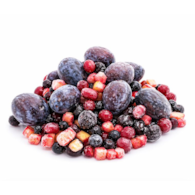HORTEX Mieszanka kompotowa 2,5kg mrożona /4