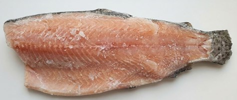 R. Pstrąg tęczowy filet z/s 200g-300g 5,1kg/5kg