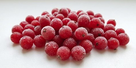 MR.  Porzeczka czerwona 2,5kg/4