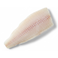 R. Morszczuk filet b/s 200g+ 10kg/SHP