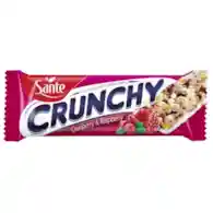 SANTE Baton crunchy żurawina-malina wanilia 40g/25