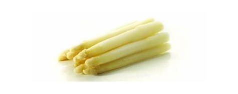 PINGUIN Szparagi białe 16-22mm 1kg/10