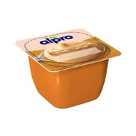 DANONE ALPRO Deser karmelowy 125g /24