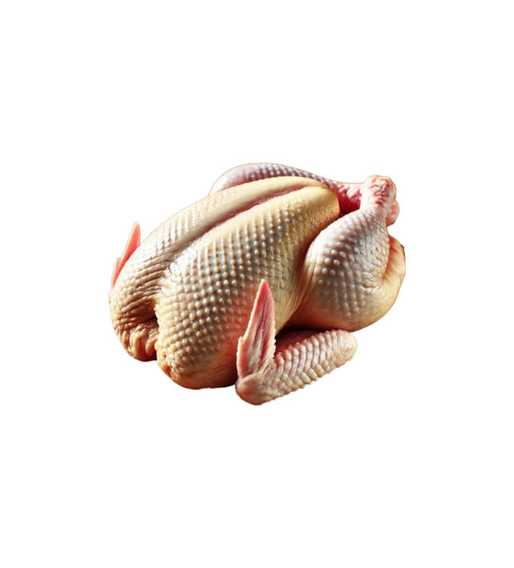 M.G. KURCZAK Kura rosołowa B/P ok. 2kg. LUZ
