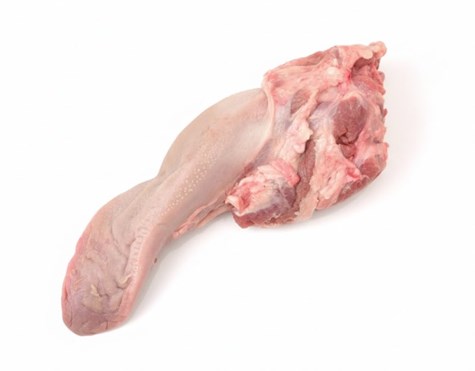 M. WIEPRZOWINA Ozory