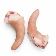 M. WIEPRZOWINA Ogony