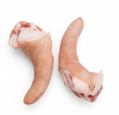 M. WIEPRZOWINA Ogony