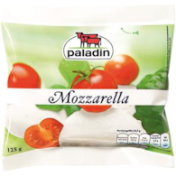 EURIAL Mozzarella Palladin 125g /20